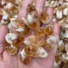 100g Rough Natural Citrine Point Quartz Druzy Crystal Cluster Stone Pendant,100g Bulk view 3