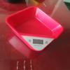 FreshCart Basics Animals Scale for Newborn Small Kitty view 2