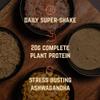 Veloforte Molto High Protein Shake Drink, 12 Single Serves of Madagascan Vanilla & Cinnamon Protein Powder, Vegan, Mix with Water or Any Milk, add to Smoothies or Pancakes, for Post Workout view 2