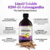 Ashwagandha KSM-66 Liquid Bio-Fermented with Turmeric, Probiotics & Digestive Enzymes for Mood & Gut Health - Natural Berry Passion Flavour view 4