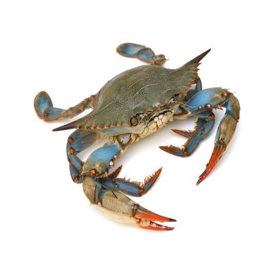 Fresh Blue Crab 1kg
