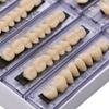 28Teeth Dental Synthetic Resin Tooth Denture Dentistry for Halloween Horror Teeth,Dental Education,Dental Teeth Teaching Model (23A3(6SET)) view 4