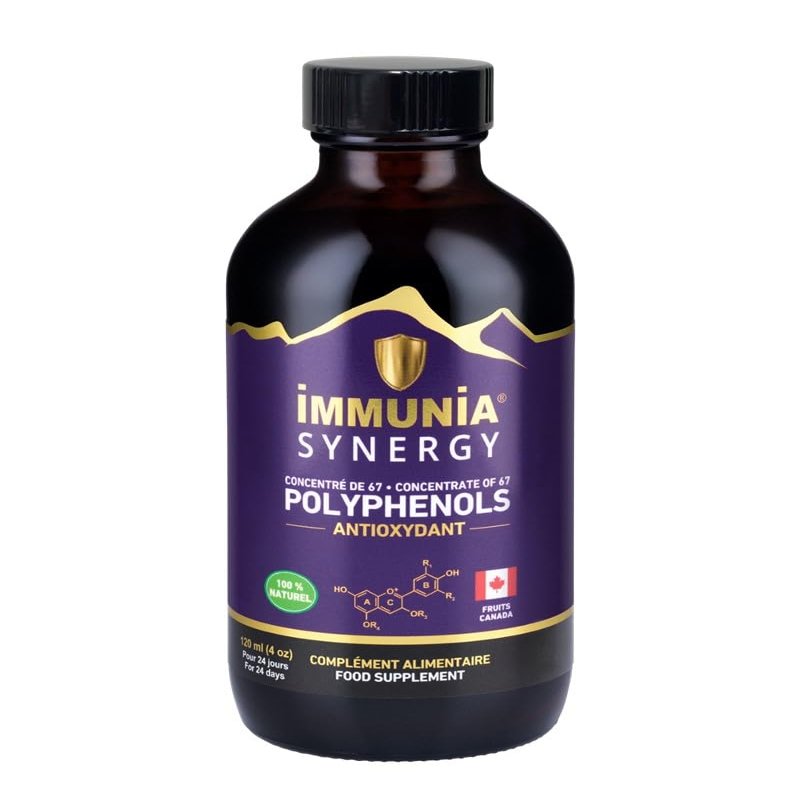 Immunia Synergy. Elderberry Supplement for Immune System Support - Powerful Natural Antioxidant. POLYPHENOLS Concentrate. Elderberries from Canada (1-Pack)