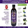 Immunia Synergy. Elderberry Supplement for Immune System Support - Powerful Natural Antioxidant. POLYPHENOLS Concentrate. Elderberries from Canada (1-Pack) view 2