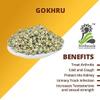 AOZA Herbaveda -Gokhru Bada (200g) Gokhroo Bada | Gokshura | Tribulus Terrestris Seeds | Small Caltrops | Sabut view 2