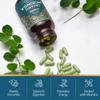 Ayurvediq Wellness Organic Moringa Capsules 500mg, 120 High Strength Moringa Powder Capsules  Soil Association Certified Moringa Oleifera Powder - Vegan Ayurvedic Products view 3