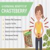 AOZA Herbaveda- Chasteberry seedsfor tea 200g | Vitex Agnus-Castus | Monk's pepper |Good for Women view 2