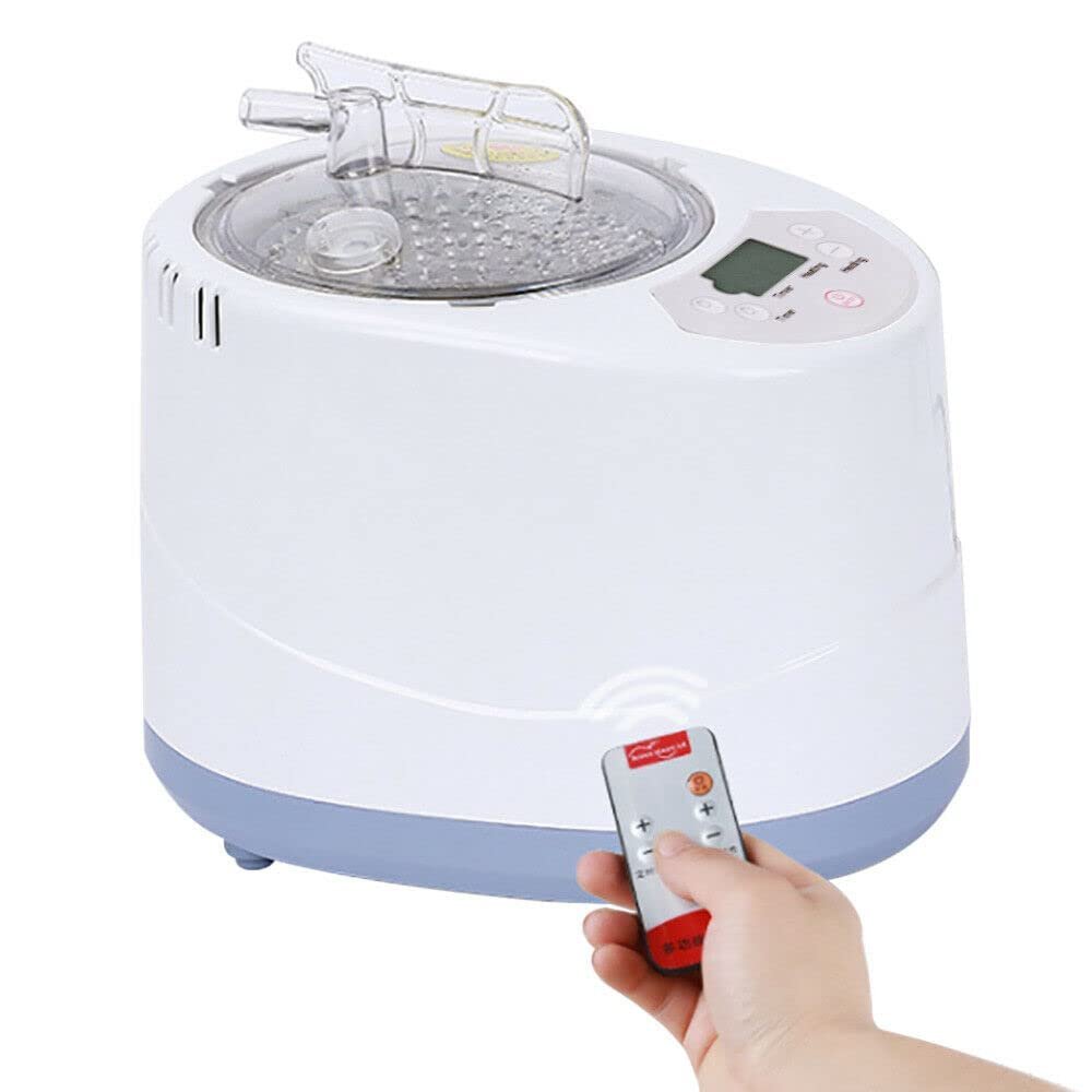 fikujap Sauna Steam Generator, Mini Steam Sauna with Timer Home Sauna Heat Cabin Sauna Mobile Saunas 3 L 1 KW