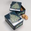Farmhouse Luxury Salted Caramel Biscuits in Christmas Tree Retangle Gift Tin - 400 Grams, Perfect for Gifting | Merry Christmas Biscuits | Mothers day, Fathers Day, Christmas Day, All Occassions view 2