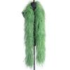 2Meter Black Ostrich Feathers Boa for Wedding Parties Drees Decoration 1ply 2ply 4ply 6ply 10ply Soft Fluffy Ostrich Plume Scarf-Green,4 ply view 1