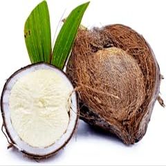 Fresh Sprouted Coconut - Also Known as Coconut Pearl - Sourced by My Exotic Fruit (1)