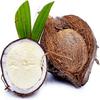 Fresh Sprouted Coconut - Also Known as Coconut Pearl - Sourced by My Exotic Fruit (1) view 1