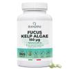 Bandini Fucus Kelp Algae 150mcg | Seaweed Natural Source of Iodine from Brown Algae | Energy Metabolism, Nails, Hair | Highly Dosed, No Additives | 365 Tablets for 1-Year Supply | Vegan & Non-GMO view 1