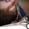 3 Swords Germany  Professional Beard Hair Scissors, Stainless Steel, Straight Blade, Sharp, with case view 2