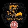 7 BELLOTAS Acorn-fed 100% Iberico Ham | Jamon Pata Negra Bellota | Spanish Iberian Ham Leg with 48 Months view 4