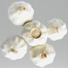 Fresh Himalayas Natural Garlic Large Bulb Fresh White Garlic Large 5 Bulb for Spices & Health Benefits Planting & Growing Your OWN - Product of USA view 2