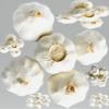 Fresh Himalayas Natural Garlic Large Bulb Fresh White Garlic Large 5 Bulb for Spices & Health Benefits Planting & Growing Your OWN - Product of USA view 3