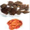 Halal Indonesian Dendeng/Crispy Beef Chip 120 gram with Chilli Sauce/Sambal Balado, home-made view 3