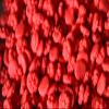 25g 3D 10mm Edible Daisies Daisy Matt Sugar Cupcake/Cake Decoration Sprinkles Over 80 Toppers per Set (Red) view 2