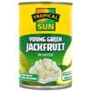 2 x Tropical Sun Young Green Jackfruit in Water 12 x 400g view 1