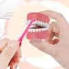 Ouligay 12pcs Aligner Removal Tool Retainer Remover Tool Retainer Removal Tool Aligner Remover Tool Remover for Invisible Brace for Tooth Cleaning Oral Care(6colors) view 3