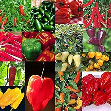 15 Pks Peperoncino Semi Collection Habanero Jalapeno di Trasporto Della Nuova 2018 S