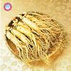 20: Rare 50pcs Genuine semi Ficus Ginseng Ginseng Erbe semi dell'albero Banyan Semina il trasporto Libero view 1