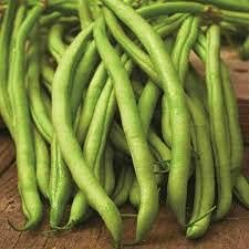 10 semi di ortaggi Pole Bean