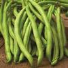 10 semi di ortaggi Pole Bean view 1