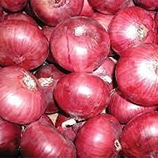 200 pezzi di semi di Cipolla Rossa caramella organica