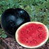 Semi di frutta Sugar Baby Anguria view 1