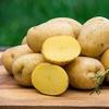 Semi di ortaggi di patate 50 pezzi view 1