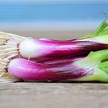 Pacchetto semi: 1/2 Semi di Red Baron Onion Conion & Organic