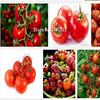 Pomodori Semi 100 pz Verdure Semi Mini Rosso in Vaso Delizioso Dolce Frutta Semi Salute `` view 1