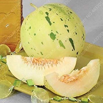 20 pezzi di frutta Cantaloupe Melon Superior Honey Dew Verde delizioso frutto del Melone Sementi di Fiori Sementi: 9