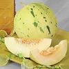 20 pezzi di frutta Cantaloupe Melon Superior Honey Dew Verde delizioso frutto del Melone Sementi di Fiori Sementi: 9 view 1