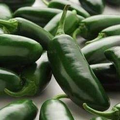 10 Semi di PEP392 Jalapeno La Bomba Pepper (Medio Calore Pepper)
