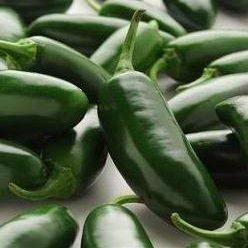 10 Semi di PEP392 Jalapeno La Bomba Pepper (Medio Calore Pepper)