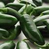 10 Semi di PEP392 Jalapeno La Bomba Pepper (Medio Calore Pepper) view 1