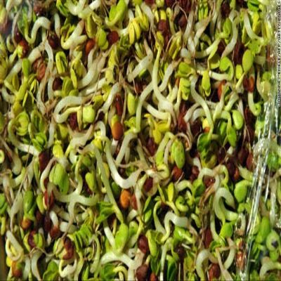 BULK * 50 *SPROUTING MIX * HEALTH BLEND * POWERHOUSE OF NUTRITION