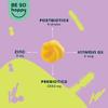 Vegan Prebiotics and Postbiotics, Gummy Bears forGut Health, Immune System & Digestion for Women & Men 60 Days, Complex with Zinc + Vitamin D3, Tropical Fruit Flavor, Gluten Free, Be So Happy view 3
