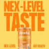Nexba Mango Kombucha 330ml Slim Cans (Pack of 12)  All Natural, Sugar Free & Healthy Tropical Probiotic Drink view 3