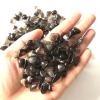 100g Natural Smoky Lemurian Quartz Crystal Stone Rough Rocks Specimen Mineral Natural Quartz Crystals view 1