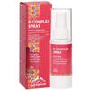 Vitamin B Complex Spray - for 2 Months - Alternative to Drops & Capsules - B Complex Vitamin High Dose - Vitamin B Complex Preparations - Vitamin B Spray - Vitamin B Complex Forte - Nordaid view 1