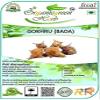AOZA Organicgreen Herb GOKHRU BADA   100 GMS PEDALIUM Murex/Large CALTROPS RAW view 2