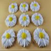24 x edible 3D 35mm daisies daisy flowers with coloured centers, many colours toppers, cake cupcakes decorations (White) view 1