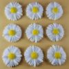 24 x edible 3D 35mm daisies daisy flowers with coloured centers, many colours toppers, cake cupcakes decorations (White) view 2
