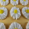 24 x edible 3D 35mm daisies daisy flowers with coloured centers, many colours toppers, cake cupcakes decorations (White) view 3