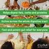 CURA NUTRITION CURAZYME Vital (90 Capsules) Digestive Enzymes Supplement for Gut Health Support, Basic Digest Formula for Bloating, Heartburn, Digestion Relief, Ideal for Sensitive Stomachs, Vegan view 2