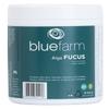 BLUE FARM | Fucus seaweed powder 2000 g micronized and super ventilated. 100% pure, natural, original and untreated product. view 2